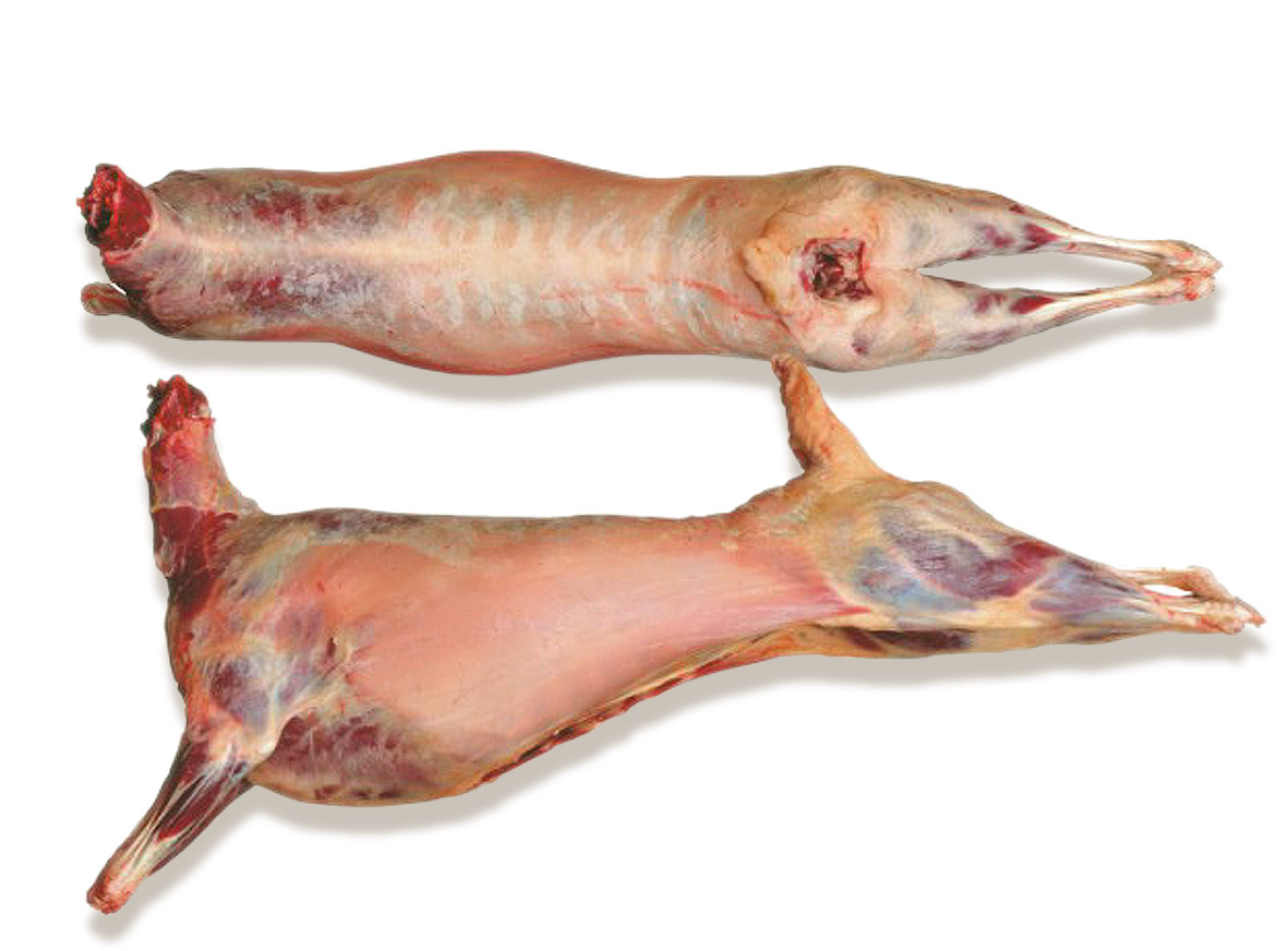 Купить Баранину В Ставропольском Крае