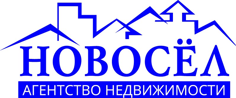 Агентство недвижимости область. Новосел картинки агентство недвижимости. Сотрудники агентства недвижимости Новосел Калуга. Новосел агентство недвижимости Калуга. Новосел нижняя тура агентство недвижимости.