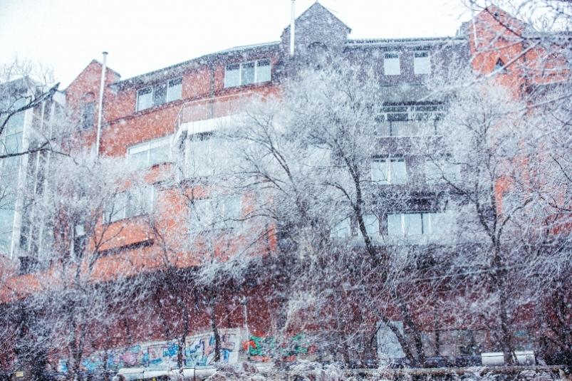 Снегопад прямо сейчас начался в Приморье - видео