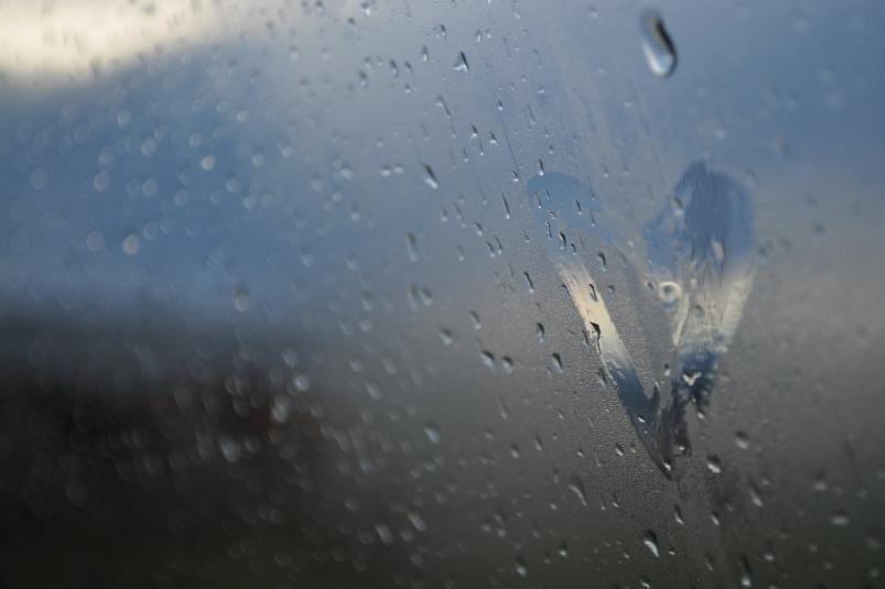 Туманный и ветреный день ожидается в Приморье 22 апреля