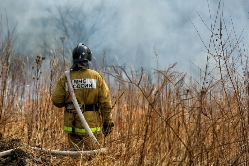 За сутки в Приморье потушили 19 природных пожаров