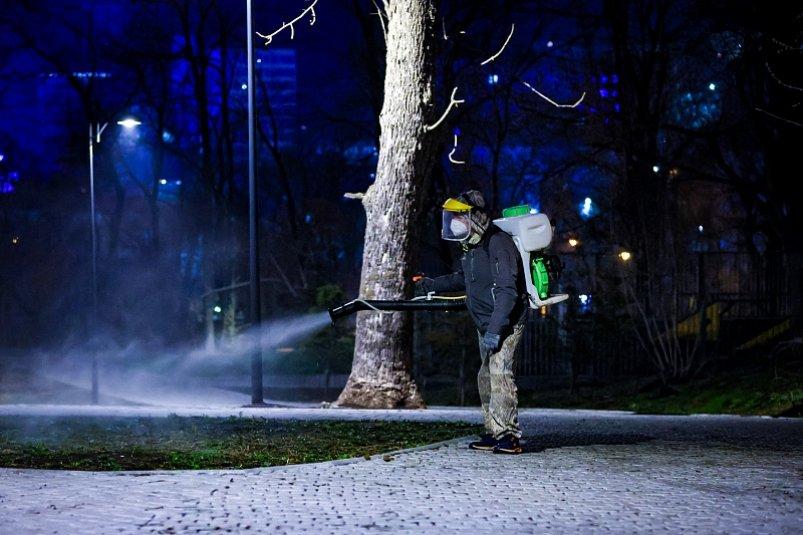 Во Владивостоке от клещей обрабатывают парки и скверы