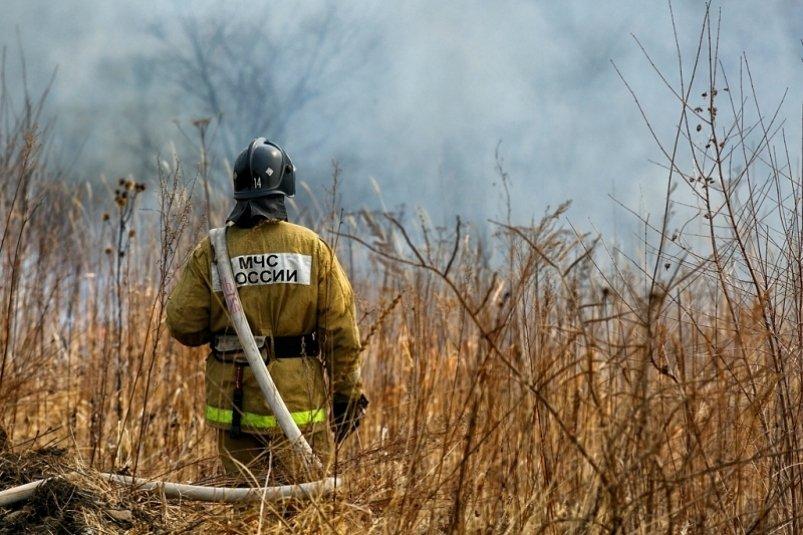 За день в Приморье потушили 10 природных пожаров