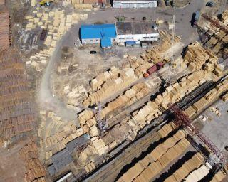 Незаконный вывоз в Китай 19 тысяч кубометров древесины стоимостью 230 млн рублей пресекла Бурятская таможня.