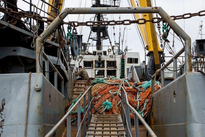 КНР запускает спецкампанию по введению летнего запрета на рыбный промысел