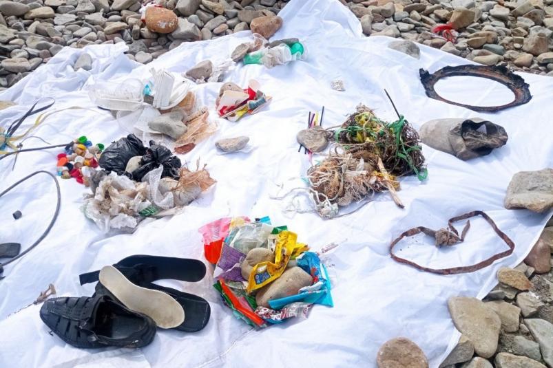 Субботник с пластиквотчингом провели экоактивисты на Патрокле 
