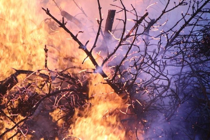 В Приморье 15-летний школьник бросил окурок в траву и устроил пожар