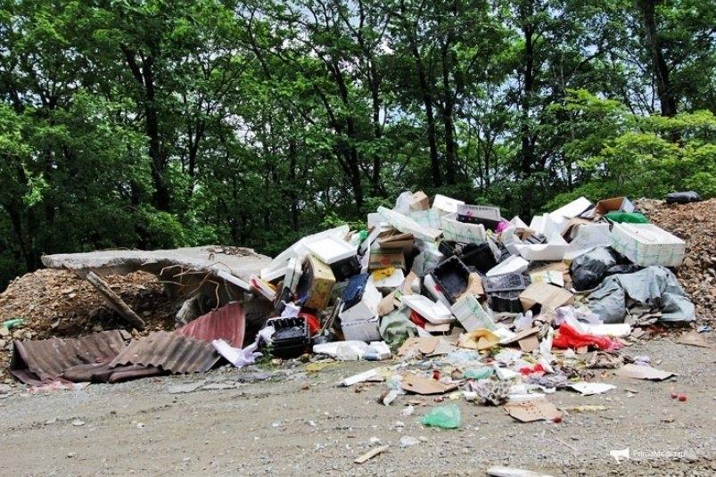 ФАС проверит тарифы в сфере твердых коммунальных отходов в Приморье