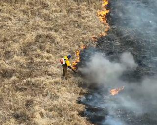 Ситуацию с природными пожарами в Приморье обсудили на очередном совещании Правительства края.