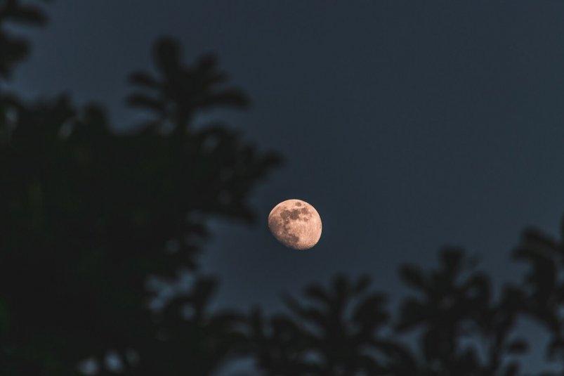 Каторга растущей Луны: этот транзит в Тельце разрушит защиту 3 знаков с 10 мая