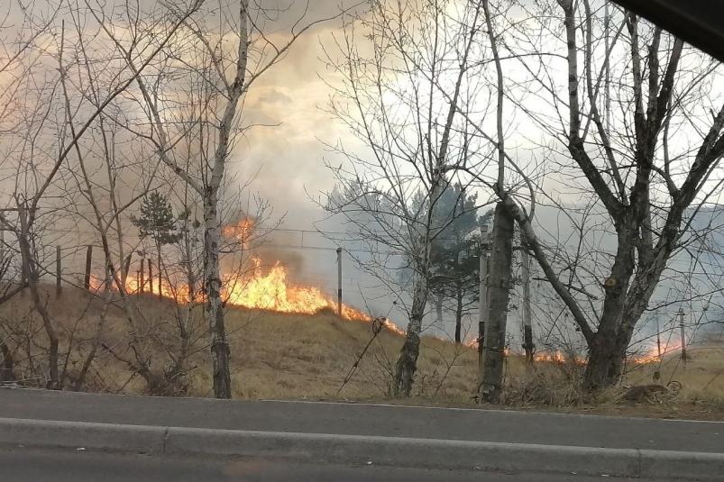 Приморье против пламени: 41 природный пожар потушен за сутки в крае