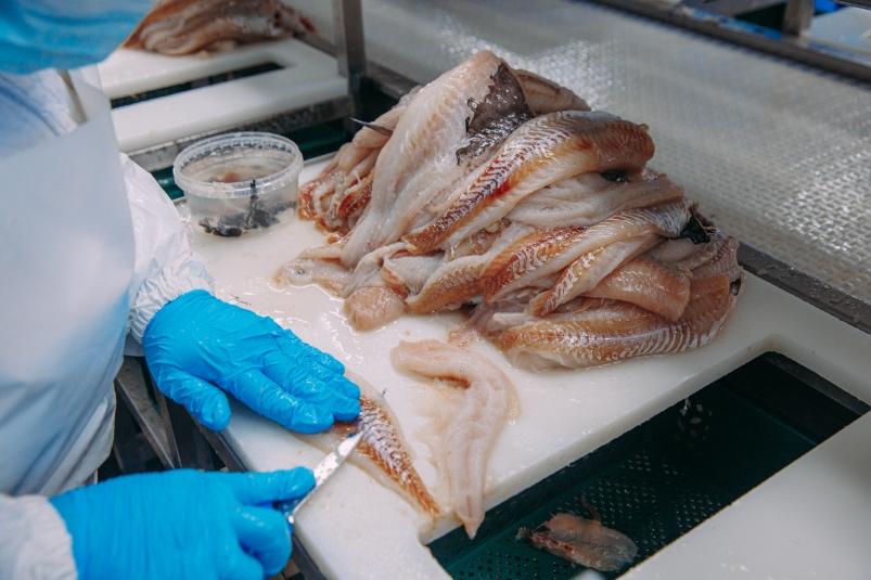 Ограничения экспорта мешают росту глубокой переработки рыбы - АСРФ
