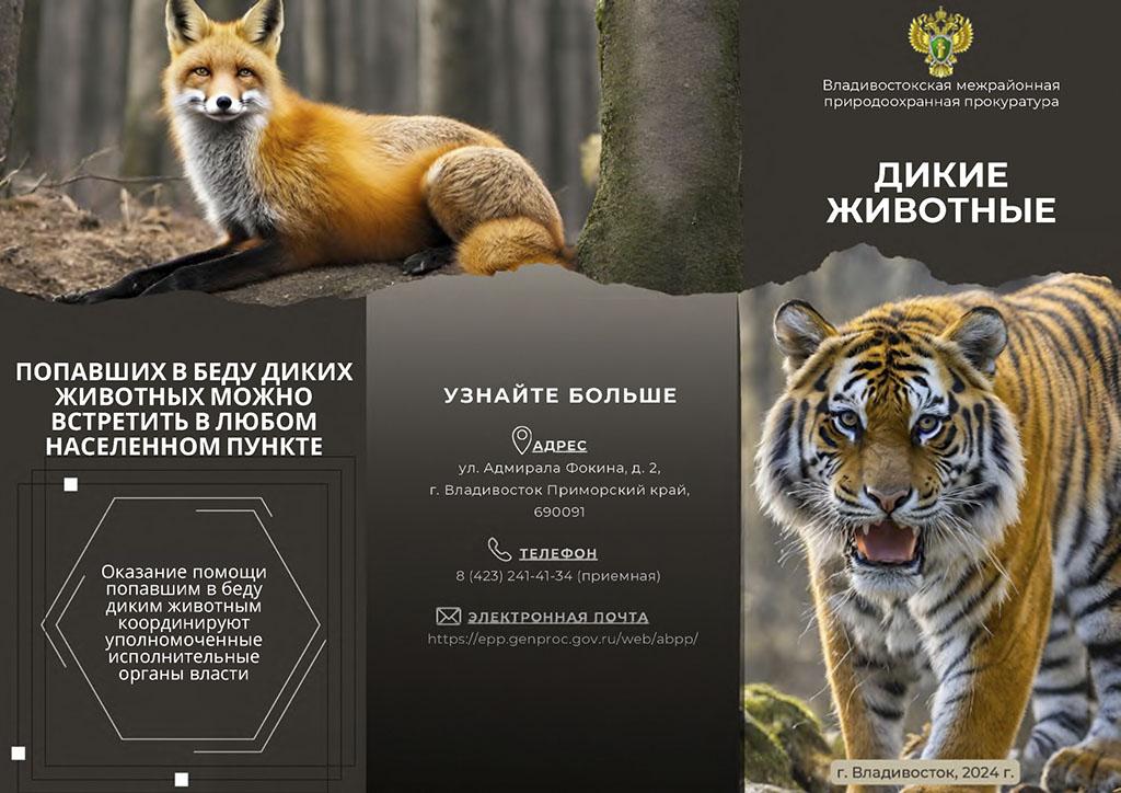 Владивостокская межрайонная природоохранная прокуратура информирует