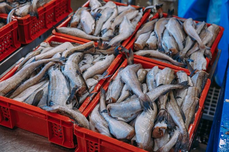 Рост затрат рыбаков не приводит к аналогичному росту цен - АСРФ