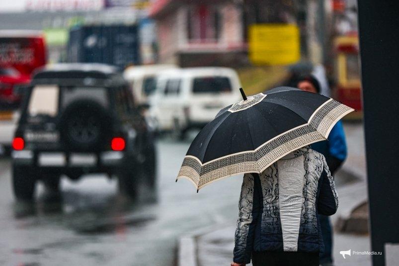 Туманы и дожди снова накроют Приморье 17 апреля