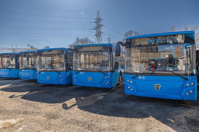 Свежо, ново и удобно: как изменился общественный транспорт Владивостока за три года
