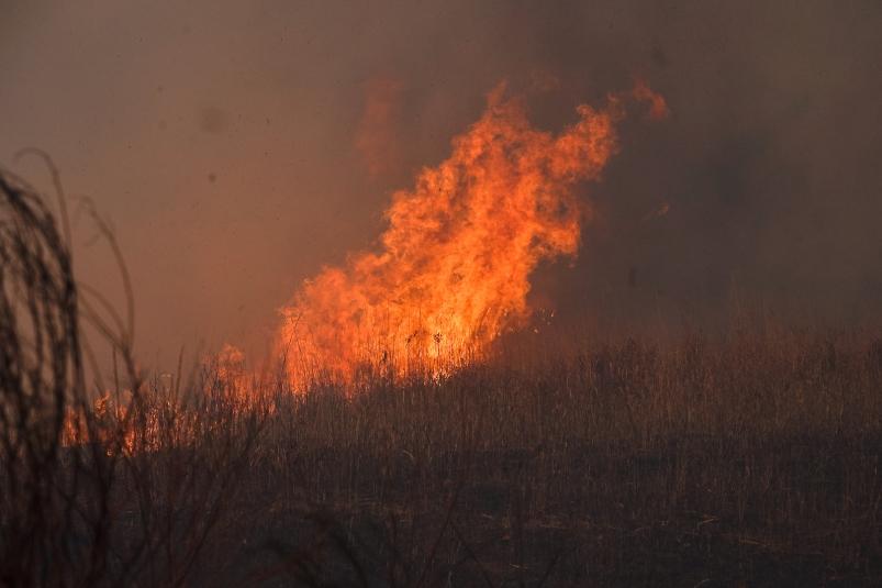 Спасатели справились с двумя пожарами в Приморье за прошедшие сутки