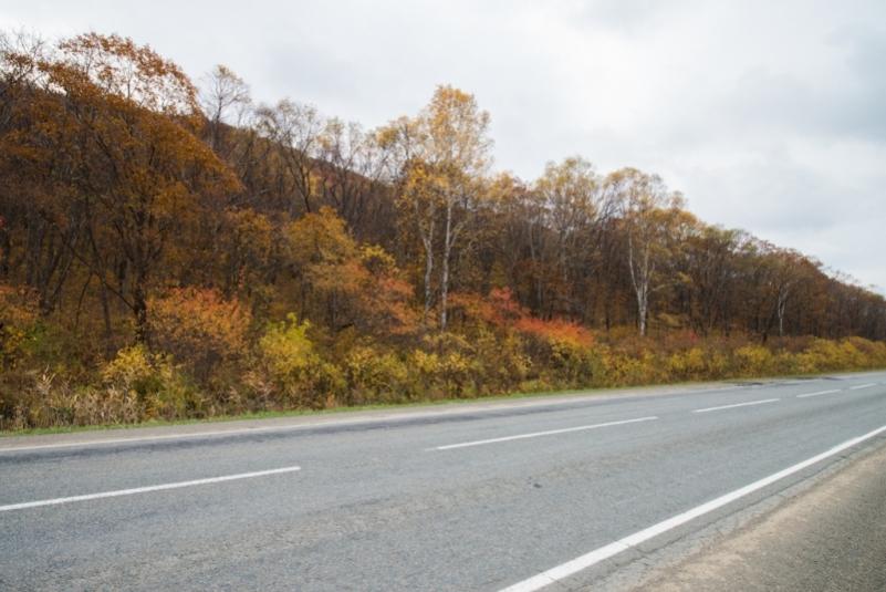 На федеральной трассе в Приморье возобновили движение после аварии с бензовозом