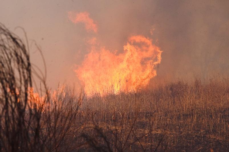 За сутки в Приморье зарегистрировано 26 природных пожаров площадью более 750 га