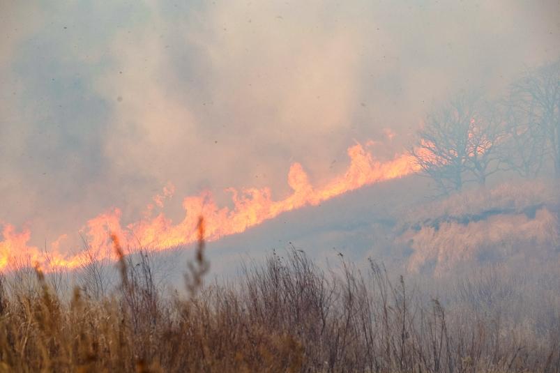 Еще 16 природных пожаров потушили в Приморье за сутки