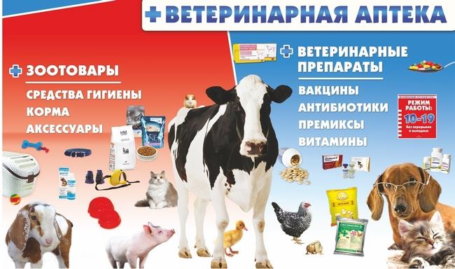 Ветеринарная аптека презентация