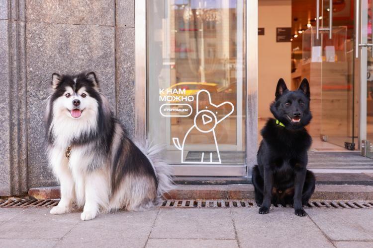 МТС в Приморье открыла свои магазины для домашних животных