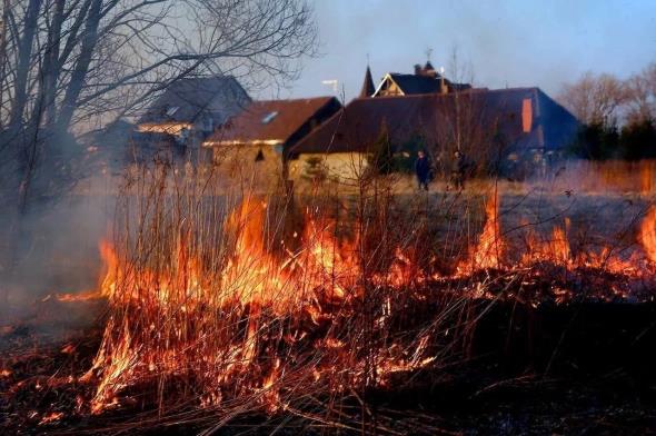 Жара до +30°С повысит уровень пожарной опасности в приморских лесах