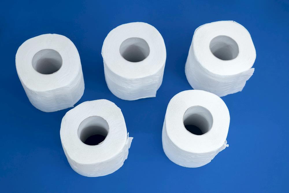 В России разработали первую смываемую втулку для туалетной бумаги